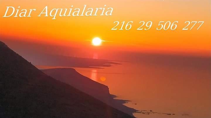 אל חואריאה Residence Aquilaria Dar Narjes מראה חיצוני תמונה