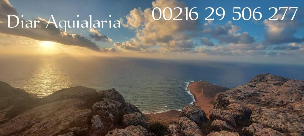 אל חואריאה Residence Aquilaria Dar Narjes מראה חיצוני תמונה
